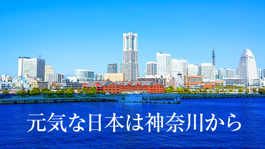 三浦のぶひろ公式ウェブサイト｜参議院神奈川選挙区｜公明党青年局長・国際局次長
