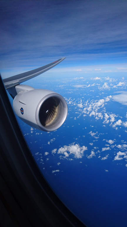 三浦のぶひろ公式ウェブサイト｜参議院神奈川選挙区｜公明党青年局長・国際局次長