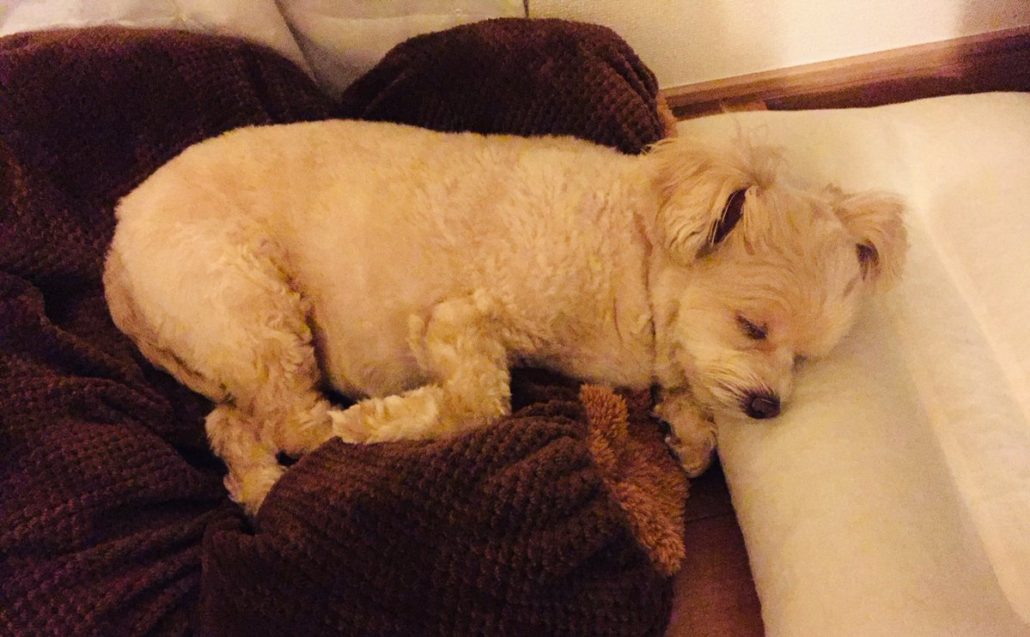 三浦のぶひろ公式ウェブサイト｜参議院神奈川選挙区｜公明党青年局長・国際局次長