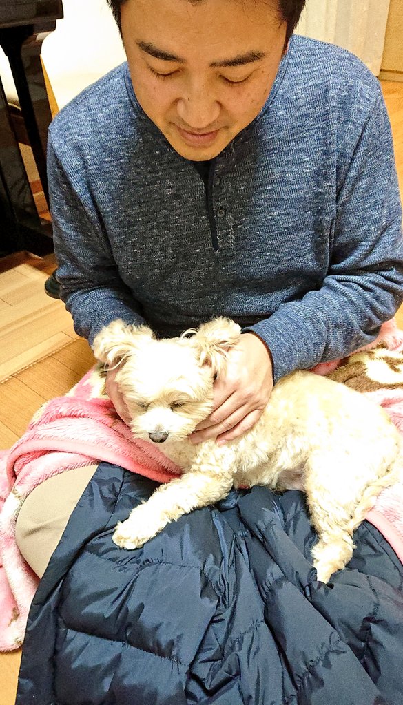 三浦のぶひろ公式ウェブサイト｜参議院神奈川選挙区｜公明党青年局長・国際局次長